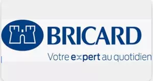logo bricard